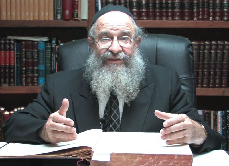 Rabbi Yehuda Leib Schapiro