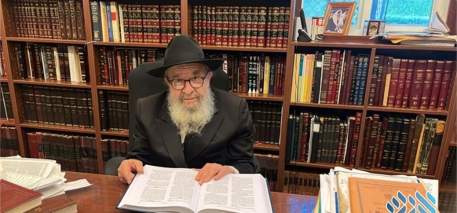 Rabbi Yehuda Leib Schapiro