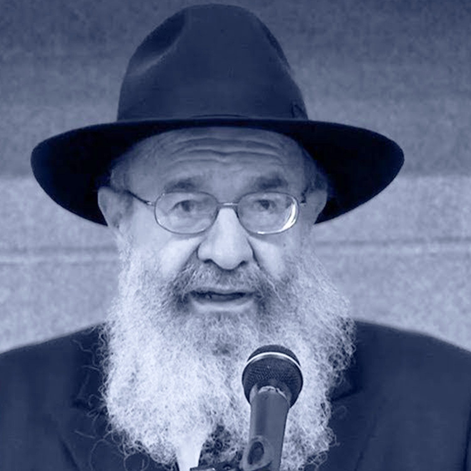 Rabbi Yehuda Leib Schapiro
